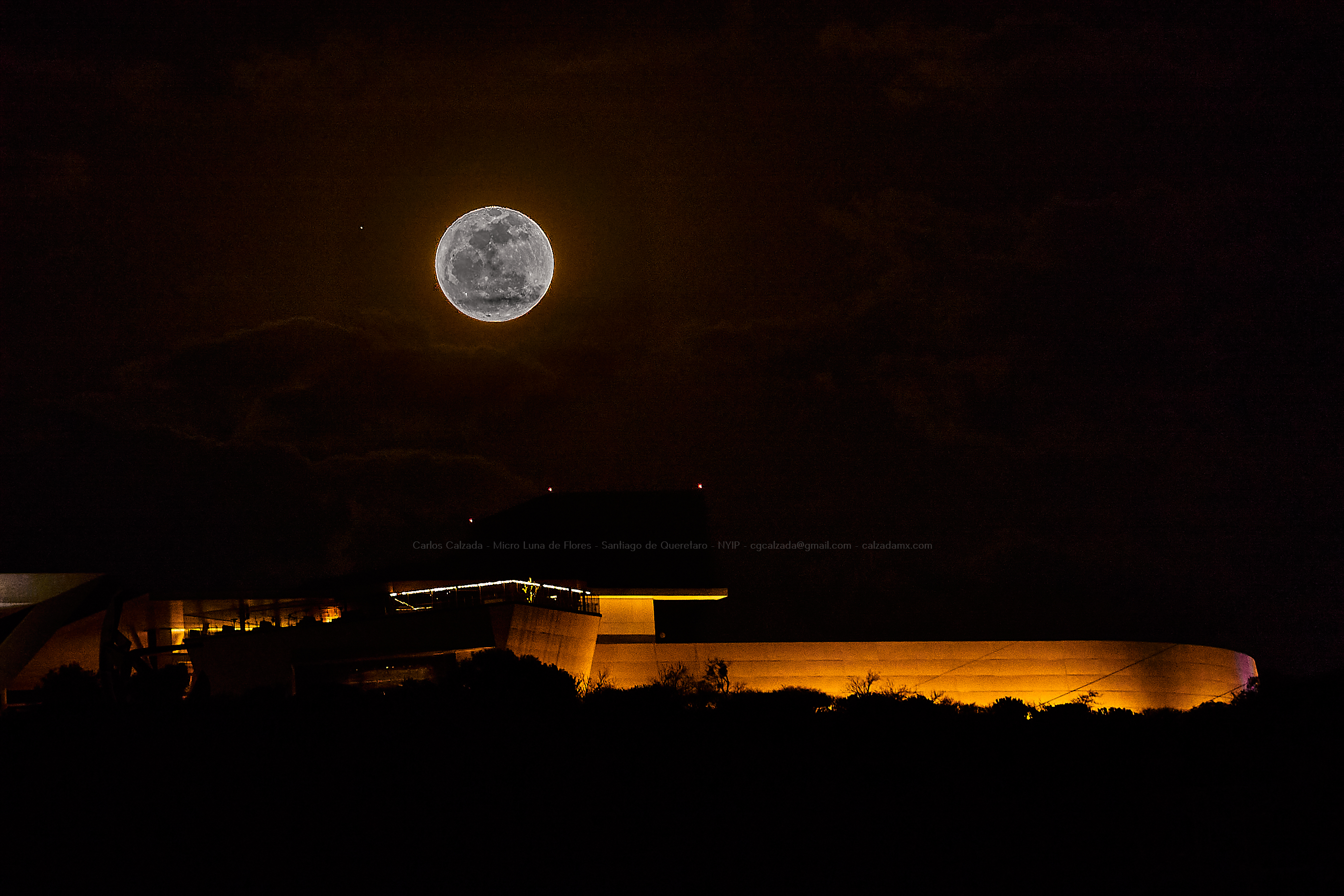 DSC02922 . Micro Luna de Flores . may 13 2025.jpg